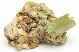 Lustrous, Yellow Apatite Crystals With Feldspar - Morocco #221042-1